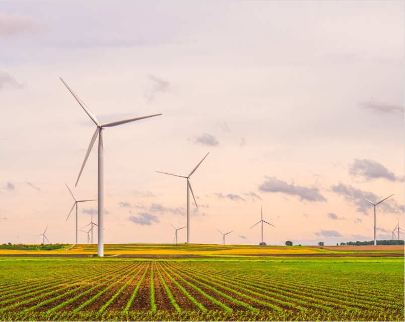agribusiness Agribusiness image