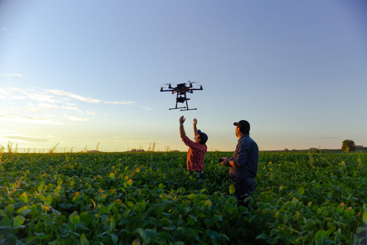Drone in a soybean field. Image via Shutterstock.
