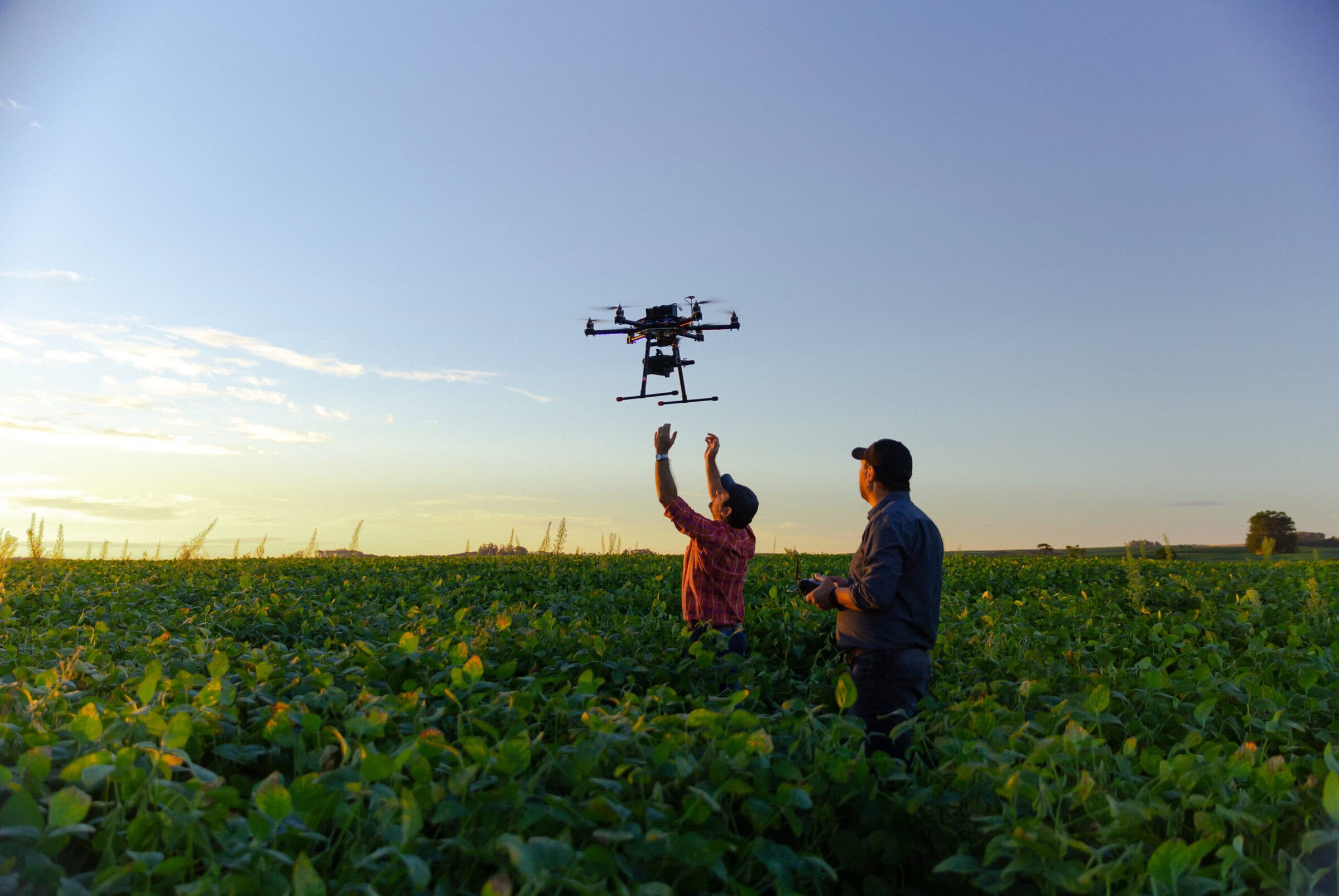 Drone in a soybean field. Image via Shutterstock.
